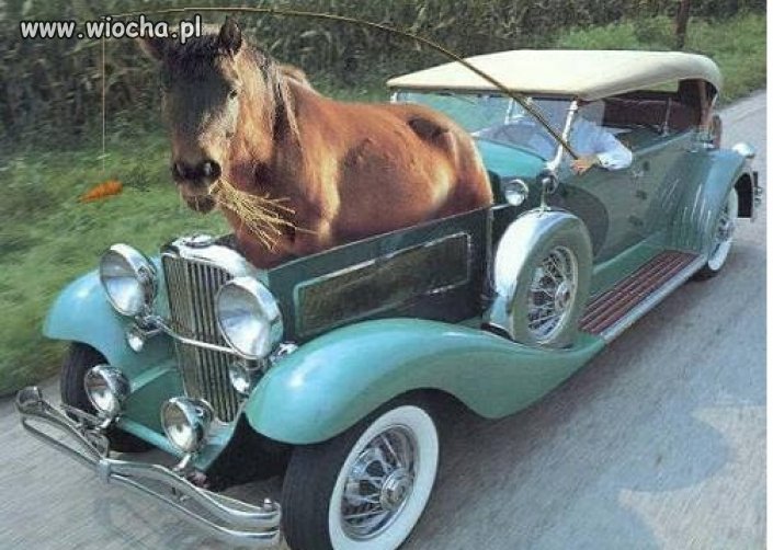 Koń mechaniczny