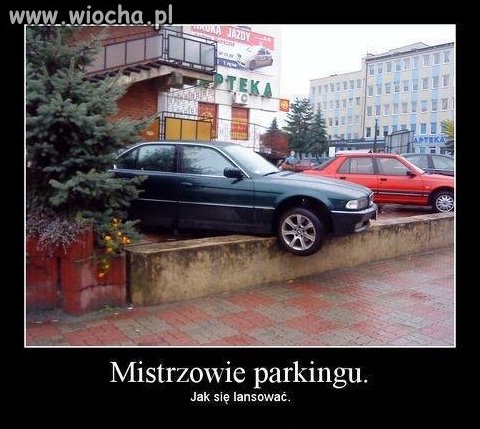 Tak parkują profesjonaliści.