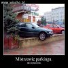 Tak parkują profesjonaliści.