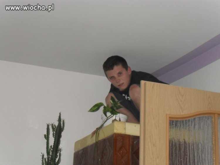 Na co ja pacze?