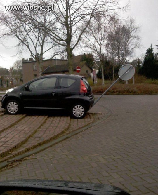 Mistrz parkowania kolejna część