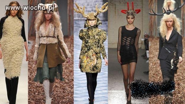 Rogata ''moda''