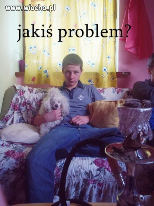 Jest Shisha jest BullDog, jest Wiocha. 