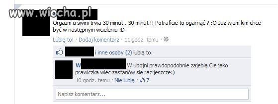 Orgazm świni
