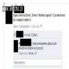 Orgazm świni
