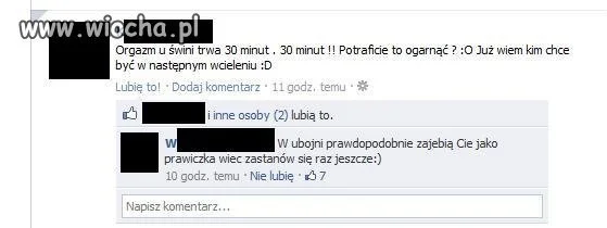 Orgazm świni