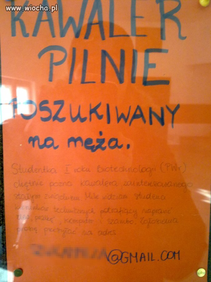 Szukam Kawalera