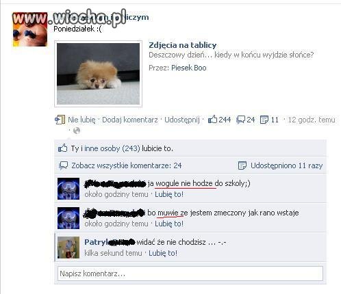 Naprawdę jest się czym chwalić 