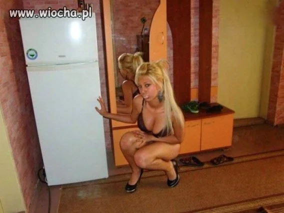 Lans na lodówkę.
