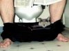 Ten kot lubi te zapachy