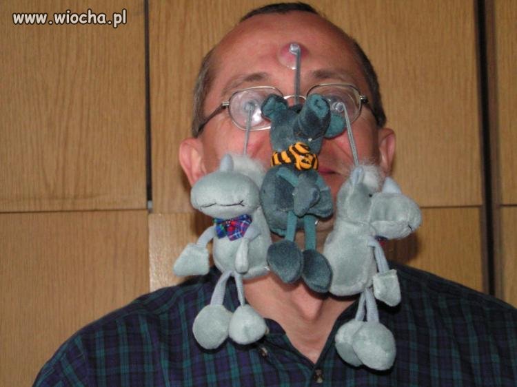 Jeszcze wsadź je sobie w dupę