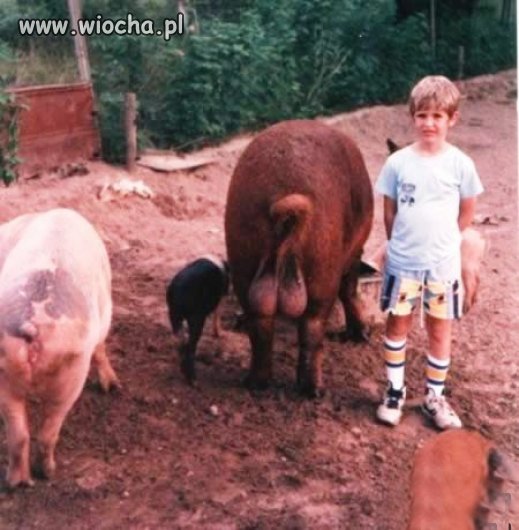 Zdjęcie z jajami... 