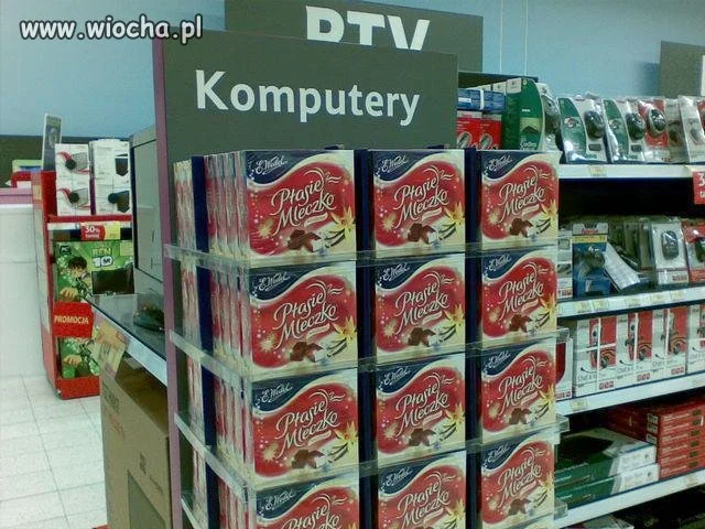 Ptasie komputery