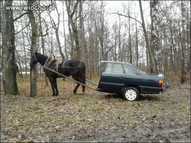 Wiejski wóz.