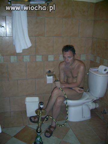Ale model  jaramy na kibelku