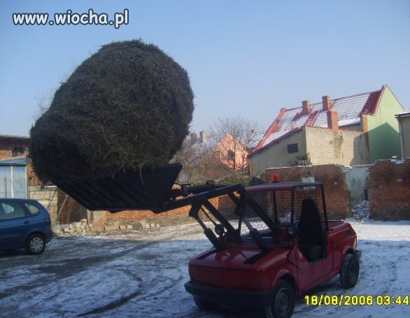 Polak potrafi