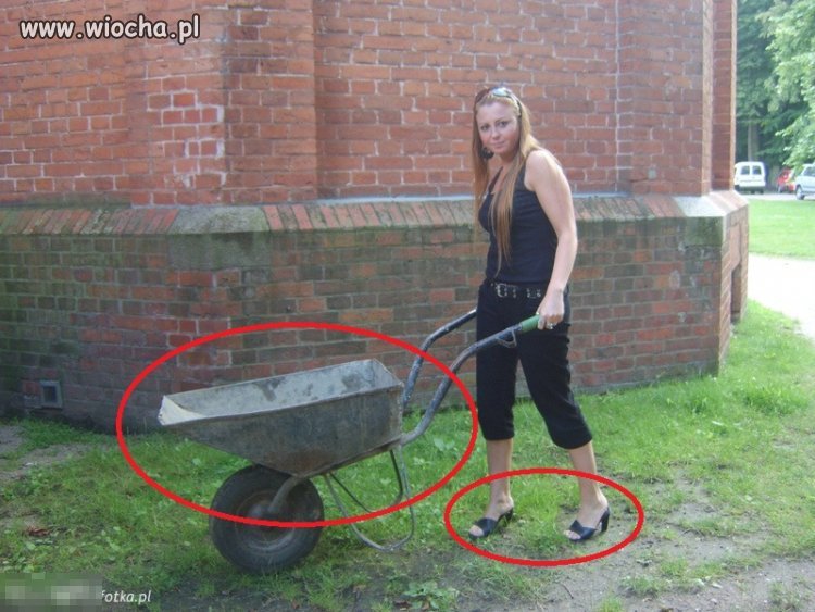 Coś tu chyba nie gra