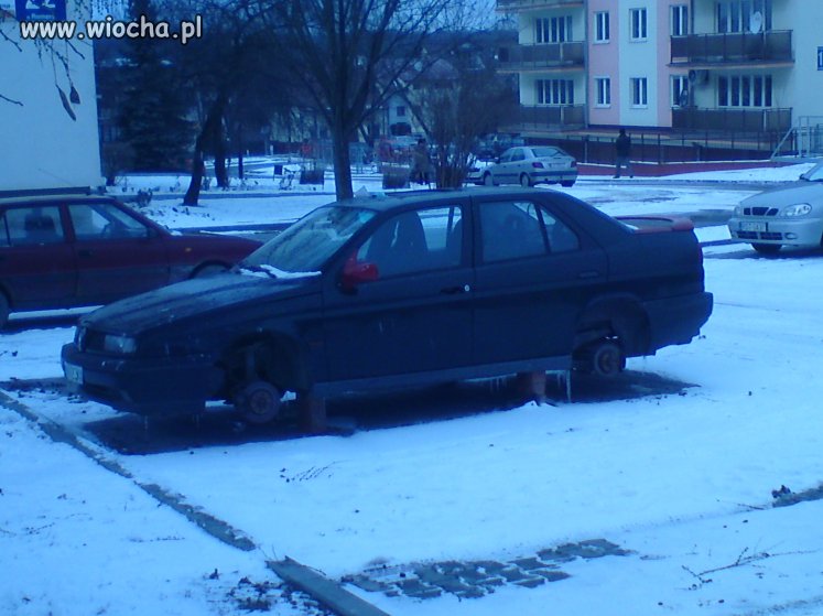 Takie rzeczy tylko w Polsce...