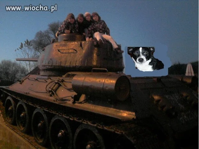 Opis pod zdjęciem