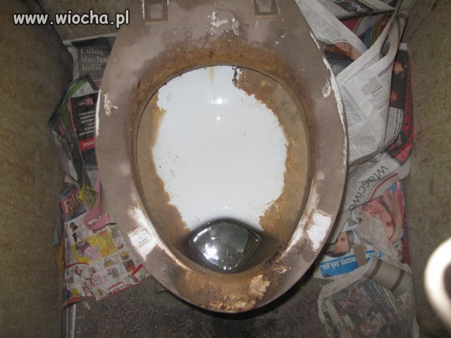 Oczko wodne