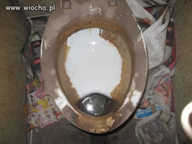 Oczko wodne