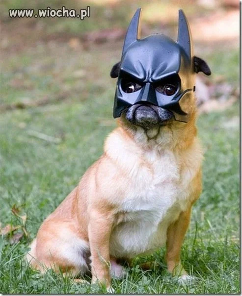 Dogman