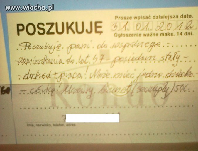 Ogłoszenia marketowe...