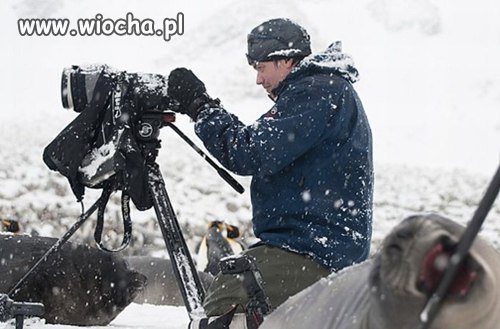 Foczka chyba kradnie statyw