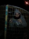 Jakim trzeba być debilem żeby zrobić sobie fotę...