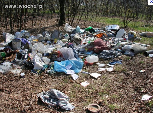 Nie ma to jak wyjść na spacer 