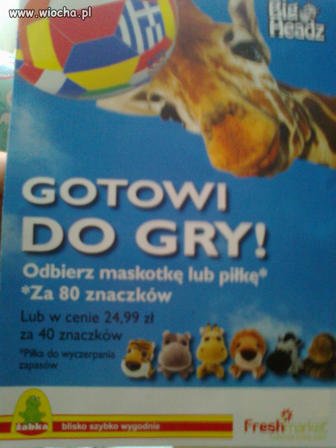 Najdroższe Maskotki Świata tylko u nas