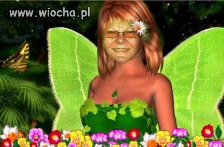 Mistrzyni picassa