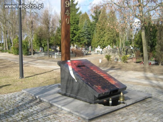 Szanująca Polska młodzież