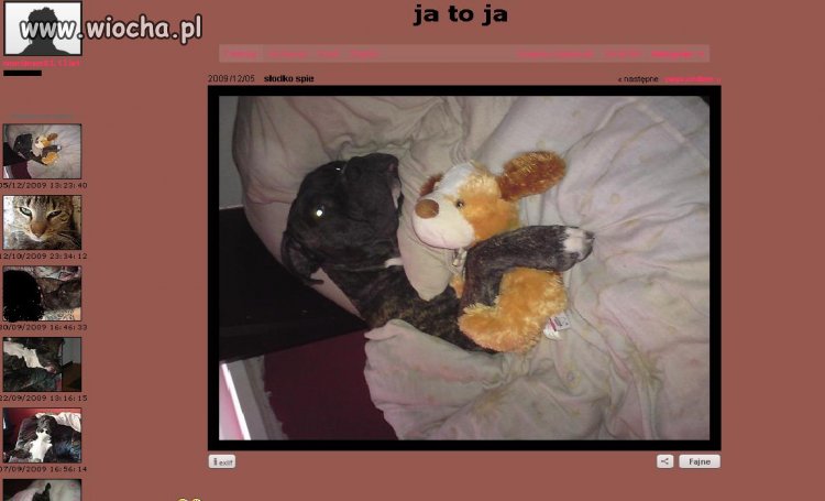 Kto normalny zakłada psu fotobloga?