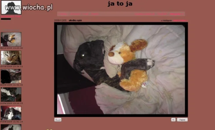 Kto normalny zakłada psu fotobloga?