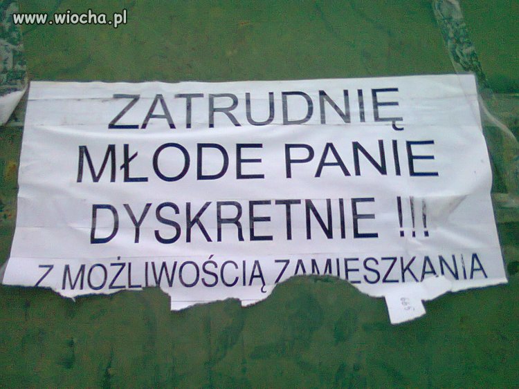 Ogłoszenie na jednym z osiedli w Lubartowie 