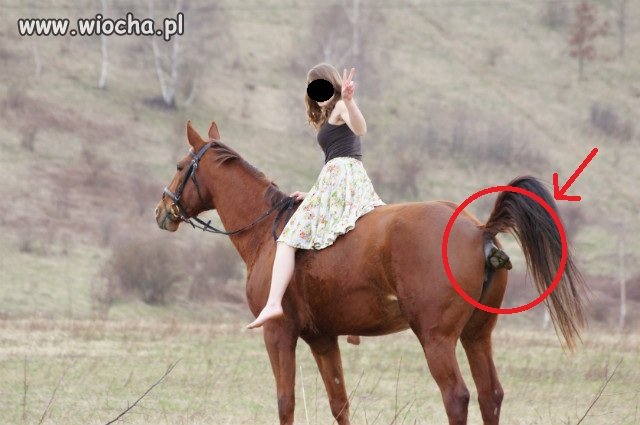 Nie ma to jak...