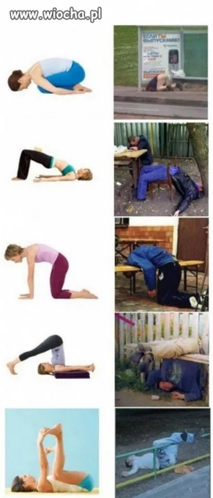 Fitness.