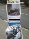 Mistrz ciętej riposty...