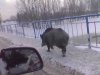 Spacer na miasto 
