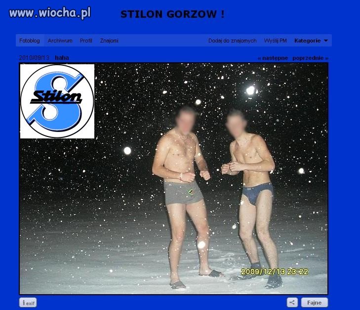 Kibice Stilonu