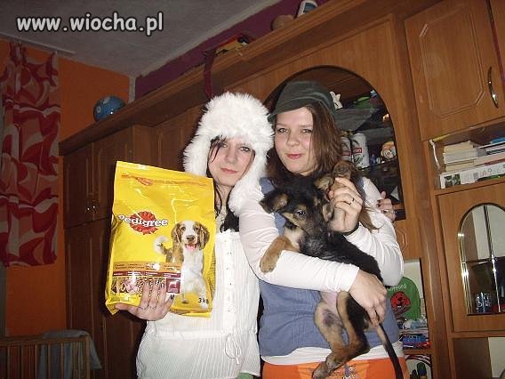 Lans na pedigree...