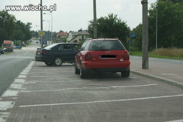 Mistrzunio parkowania.