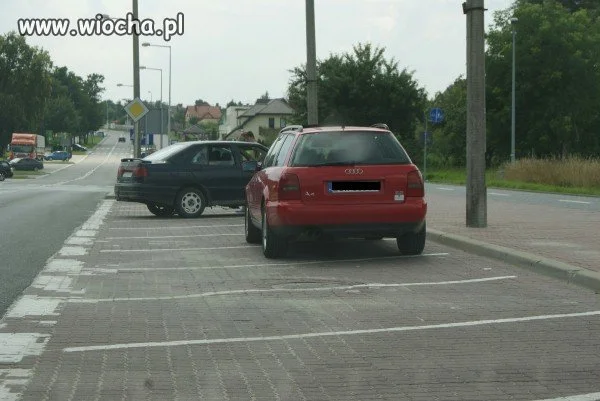 Mistrzunio parkowania.