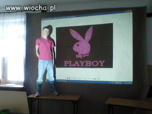 Króliczek playboya 