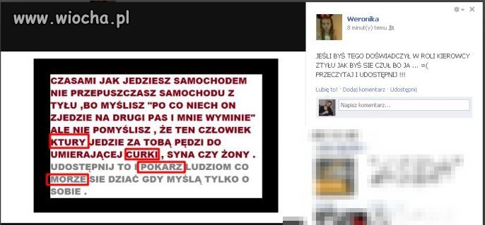 Mistrzyni ortografi ...