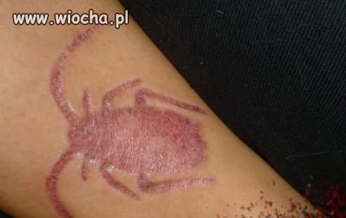 Trochę się przewraca w główkach