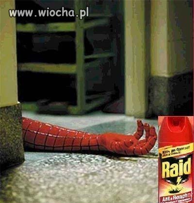 Raid zabija na śmierć