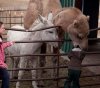 Nad wejściem pisze Nie dokarmiać zwierząt