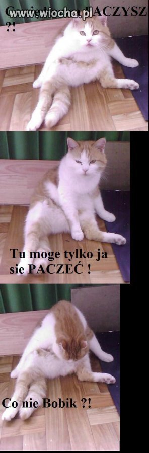 Z serii Co Ja PACZE?